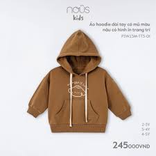 Áo Hoodie